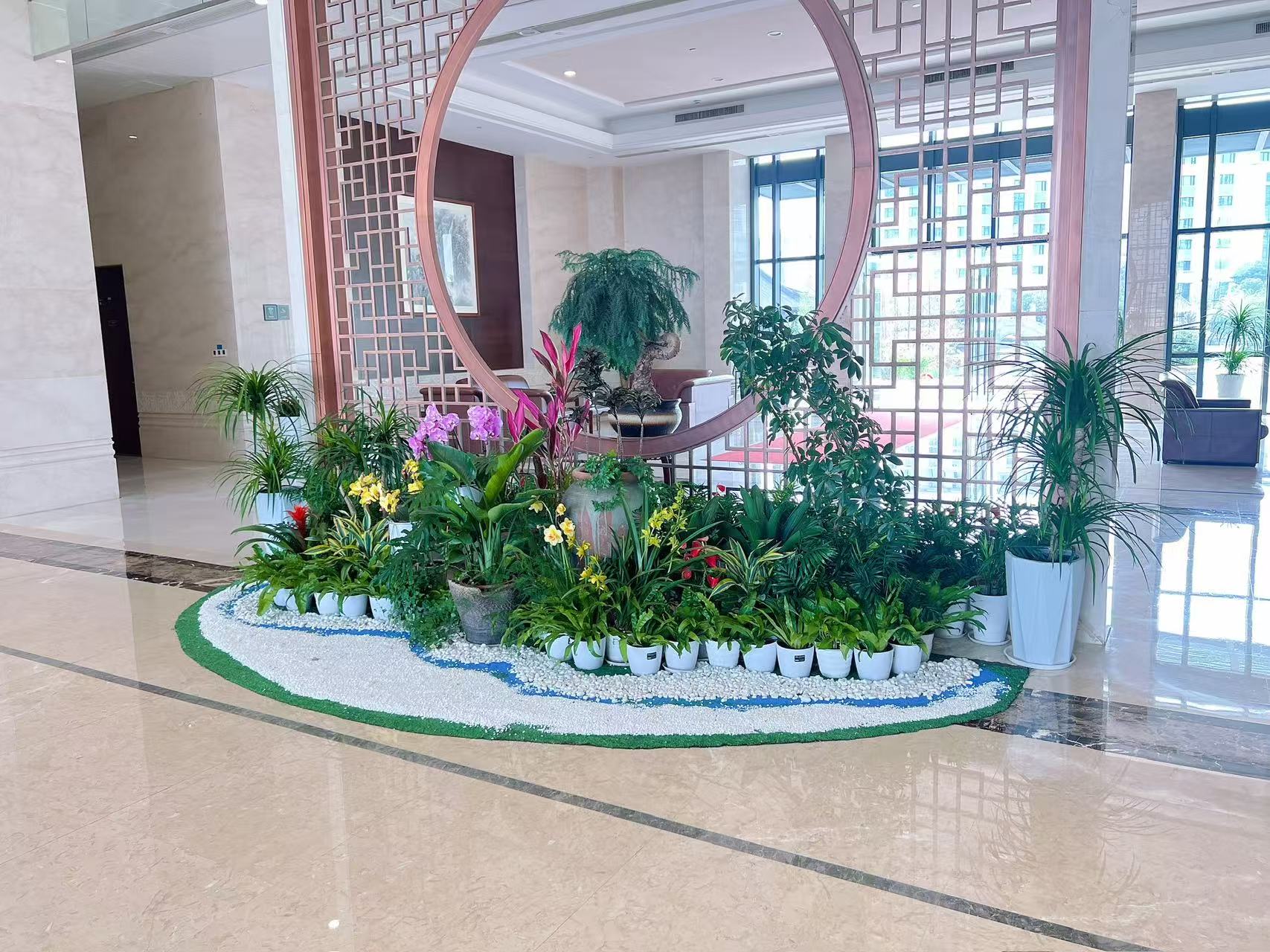 速看！杭州湾植物租赁方案的独特魅力在哪